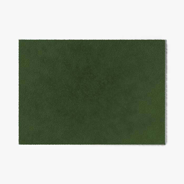 ColorStar Innen Fußmatte Forest