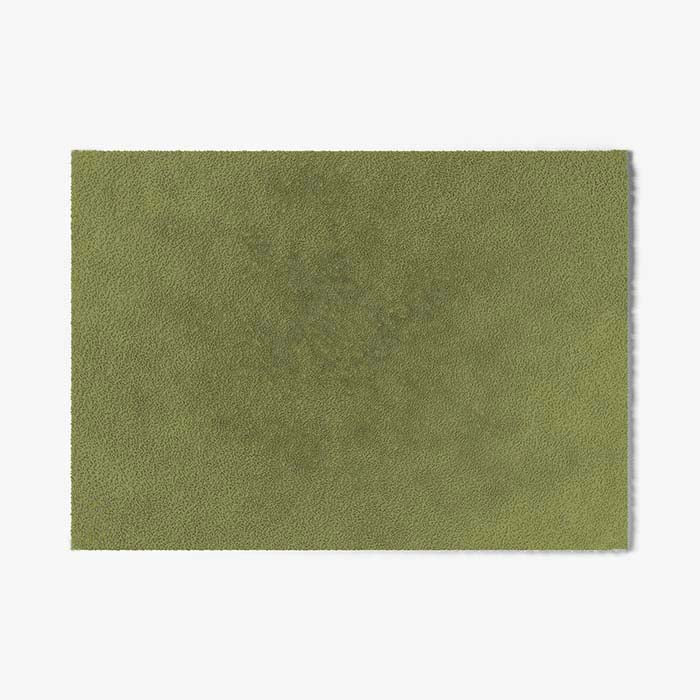 ColorStar Indoor Doormat Forest