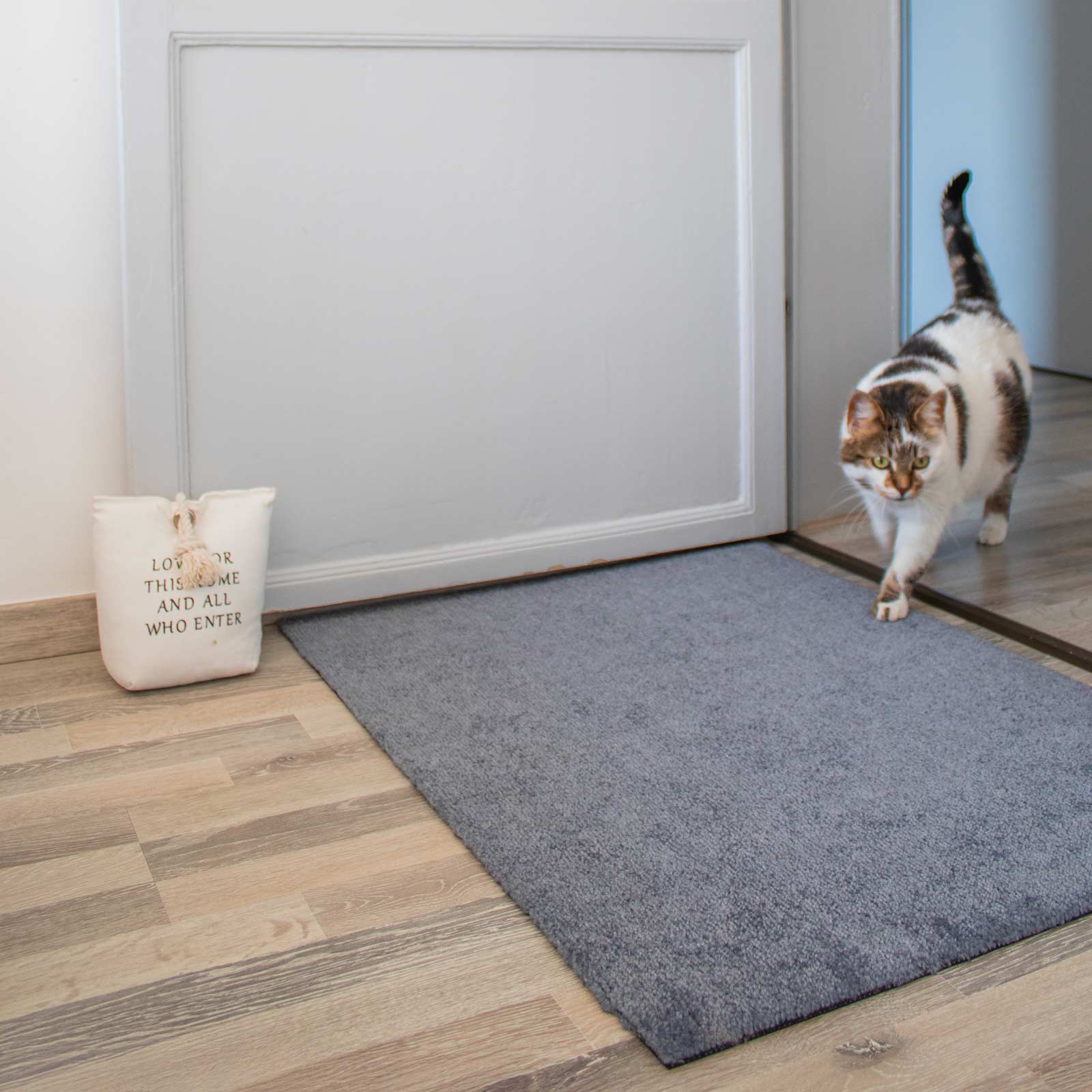 ColorStar Indoor Doormat Mountain