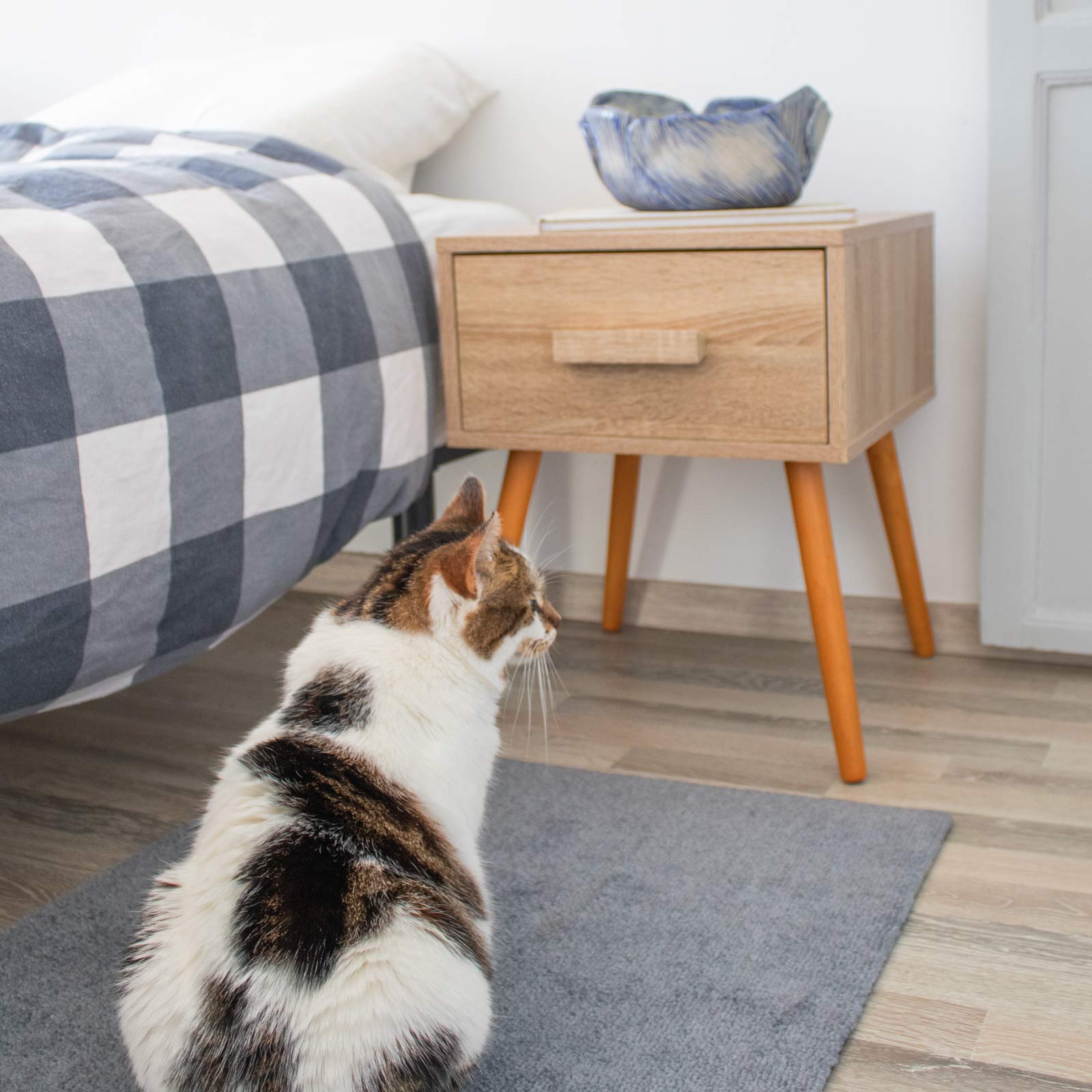 ColorStar Indoor Doormat Mountain