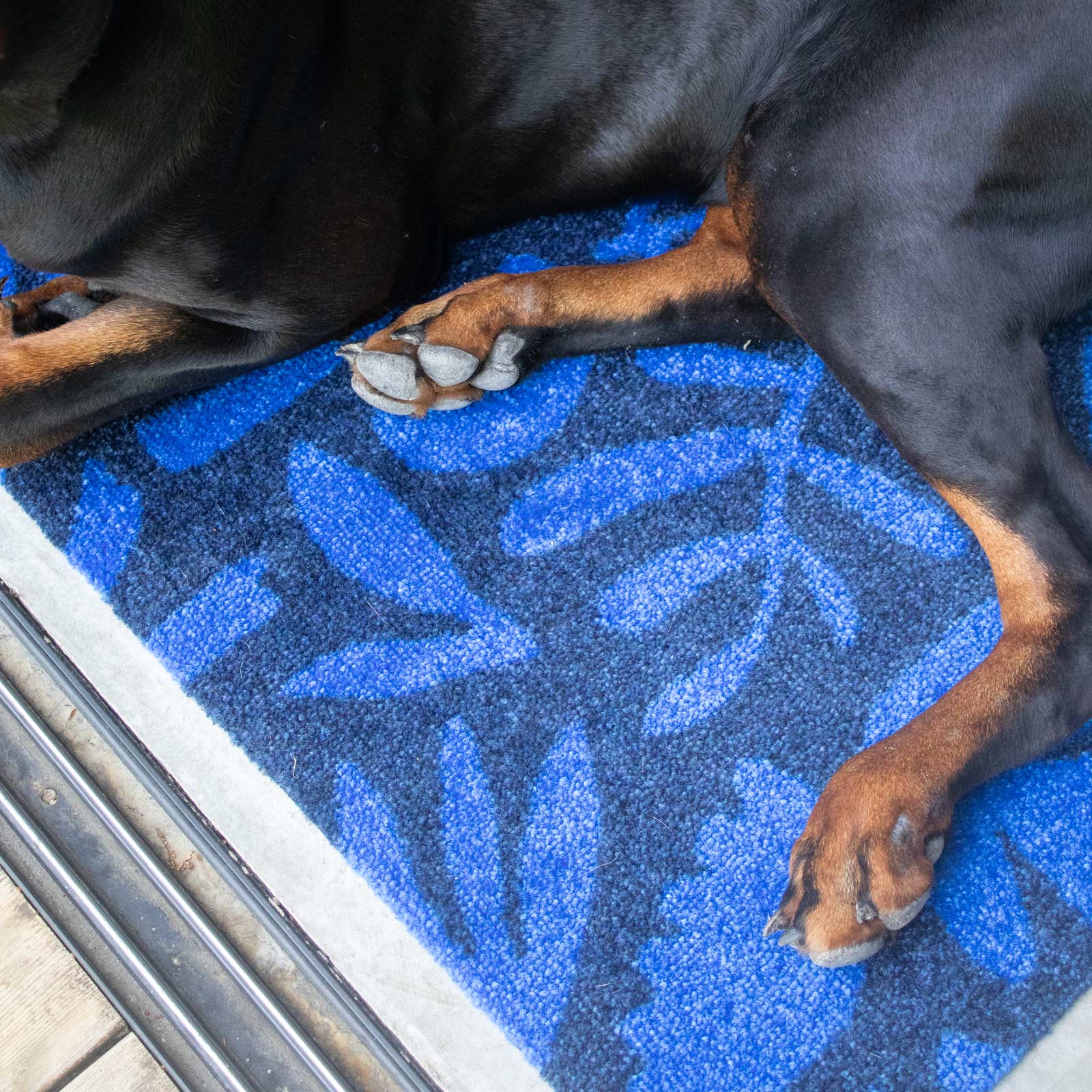 ColorStar Indoor Doormat Lagoon