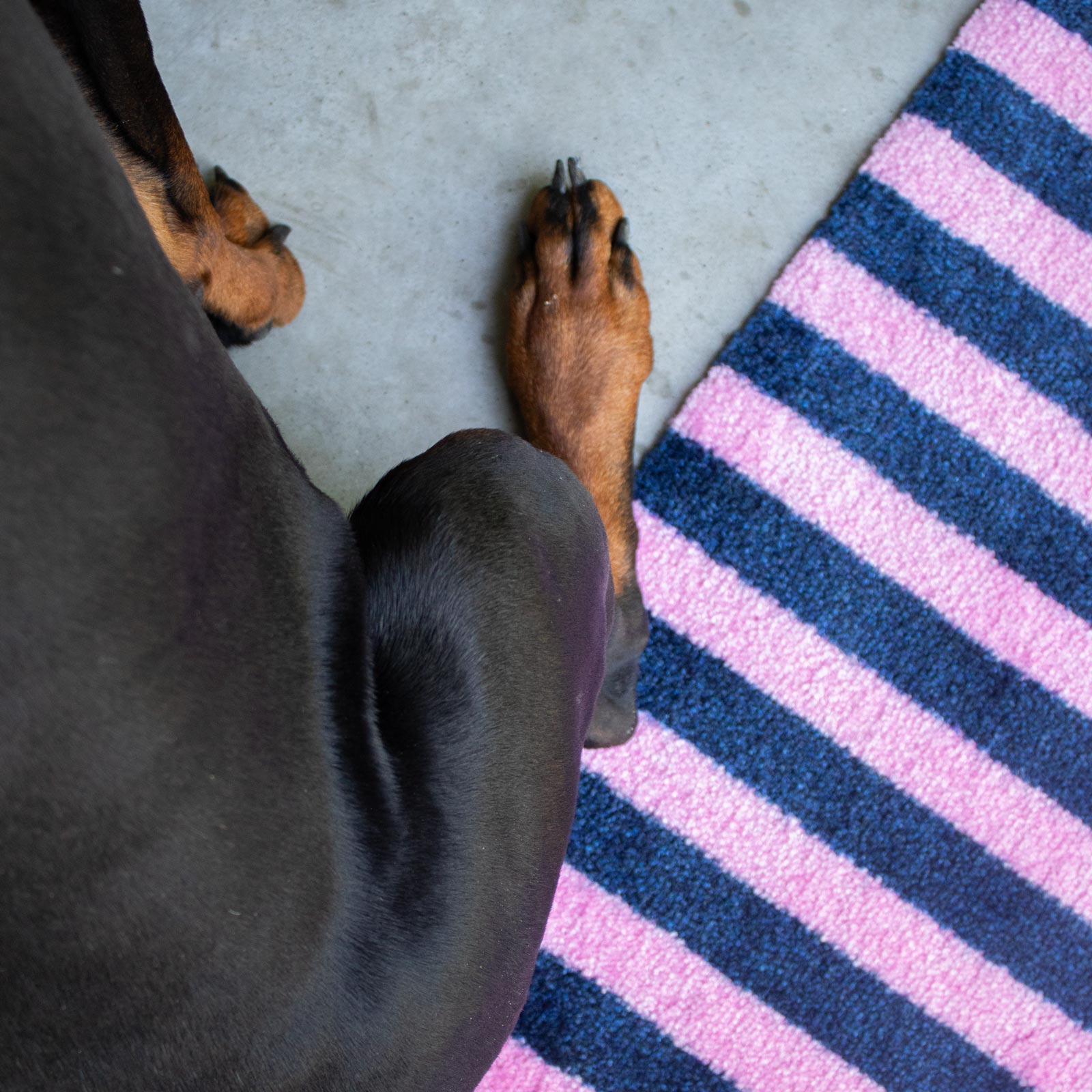 ColorStar Innen Fußmatte Stripes