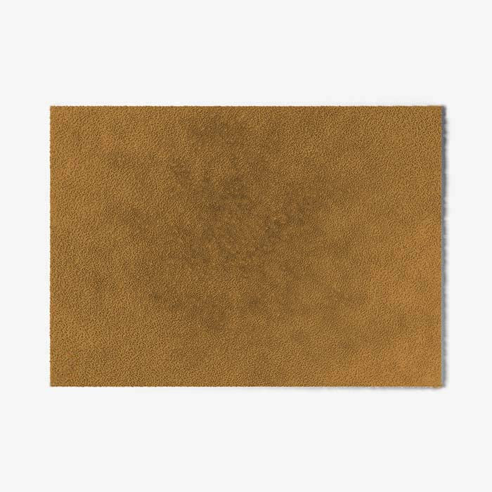 ColorStar Innen Fußmatte Earth