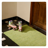 ColorStar Plush Doormat Terre