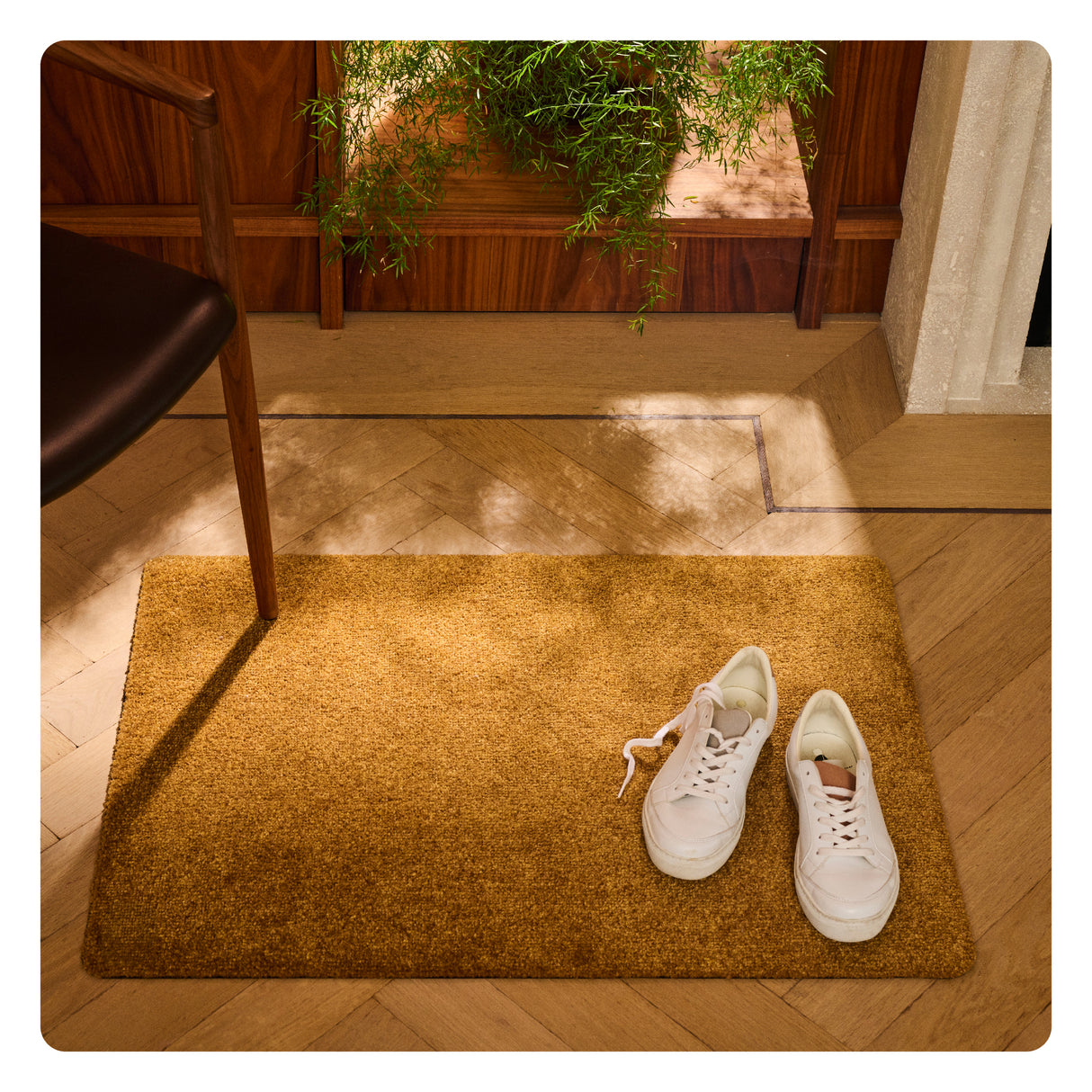 ColorStar Plush Doormat Terre