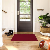 Tapis d'Entrée en Peluche ColorStar Terre