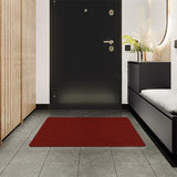 ColorStar Plush Doormat Terre